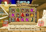 Mfortune Slots and you may Gambling establishment Review, Mobile Games