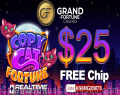 100 percent free step 3 Reel Slots Online game On the web In the Slotozilla Com
