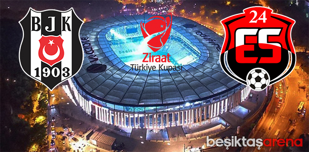 Beşiktaş-Erzincanspor