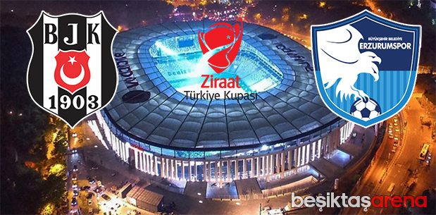Beşiktaş--Erzurumspor