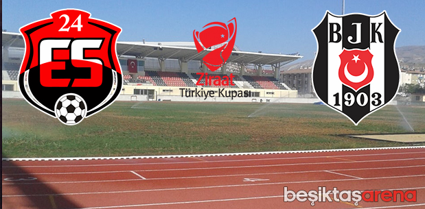Erzincan-Beşiktaş
