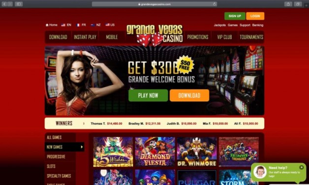 Guide On how to play queen of the nile deluxe online Build A casino Website